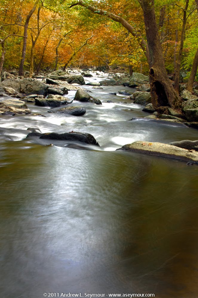 Brandywine Creek hrd 08