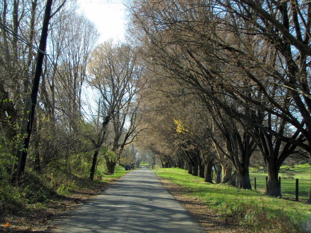 Apple Grove Road