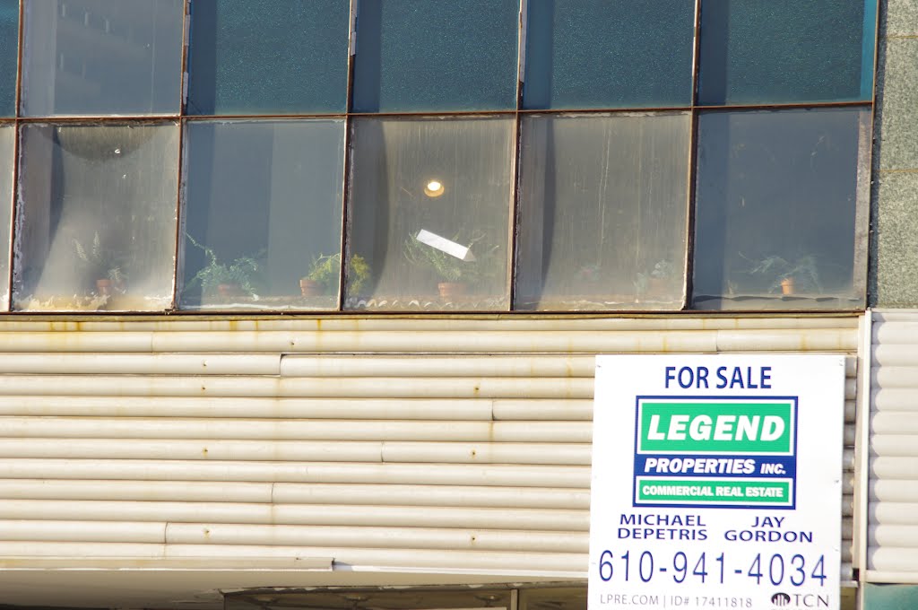 20120219 Lipkins Furniture in Coatesville Closing - sad plants