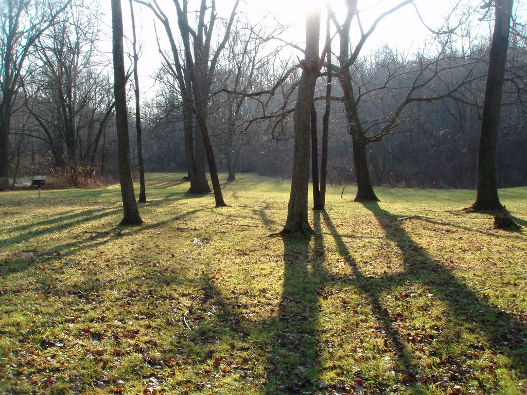 Hibernia Field