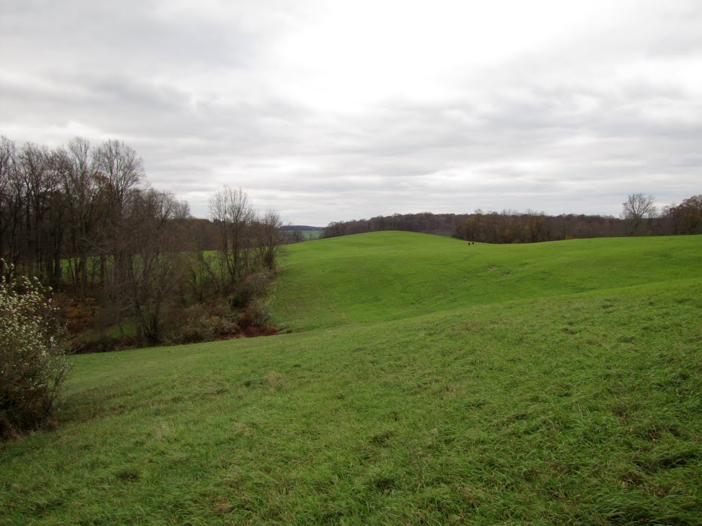 Laurels Preserve view West