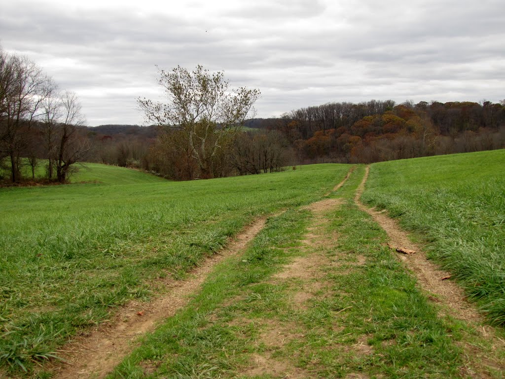 Laurels Preserve Trail