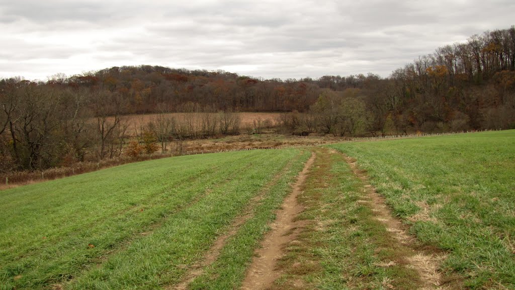 Laurels Preserve Farm Road