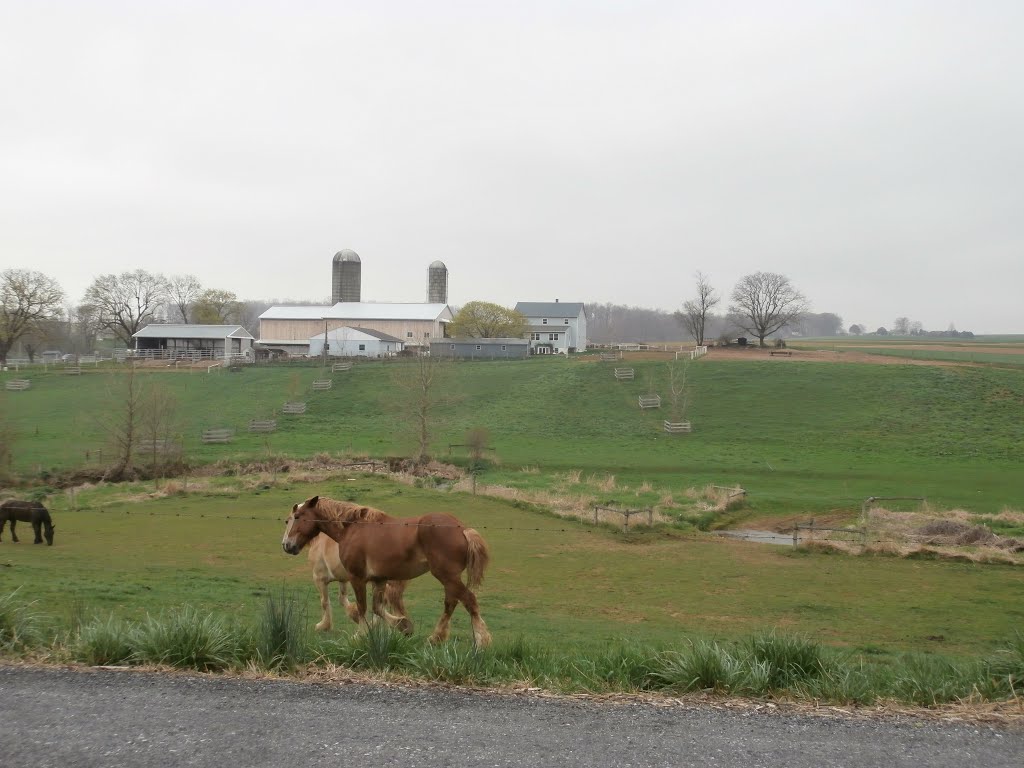 Horse farm on Doe Run Church Rd.