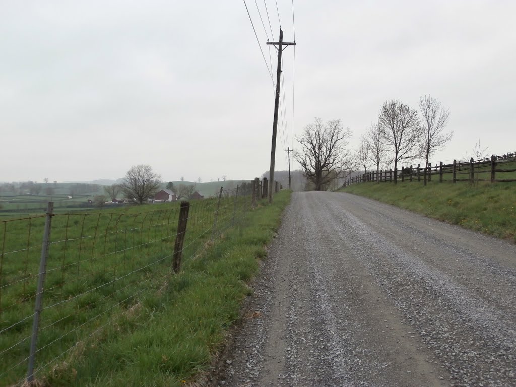 Doe Run Church Rd. on a misty April afternoon