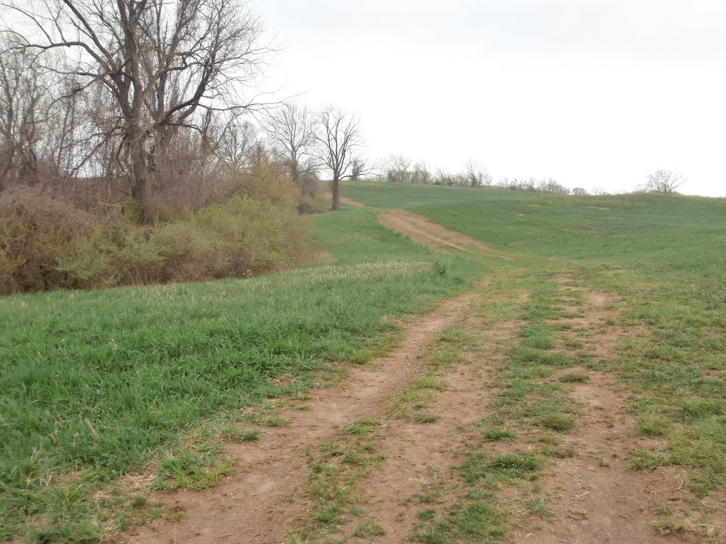 Uphill at the ChesLen Preserve