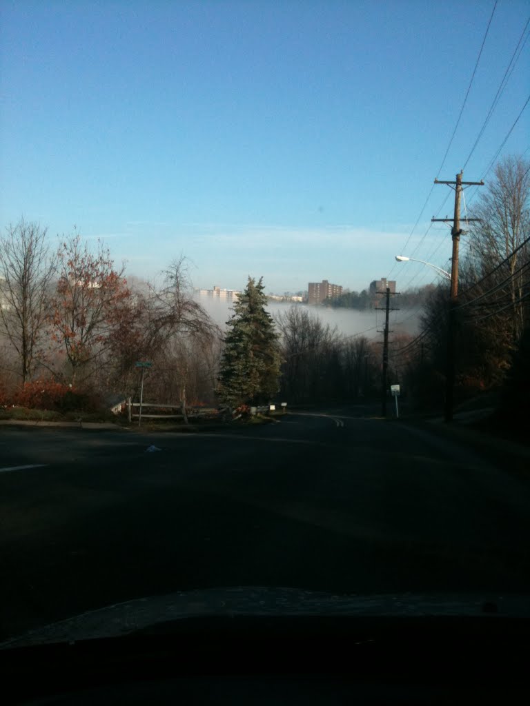 Morning fog in Monroeville