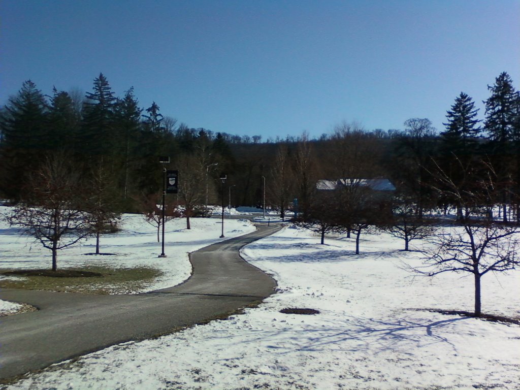 Walkway at Penn State Mont Alto
