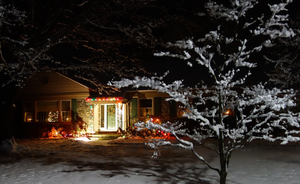 Christmas decorations in the snow