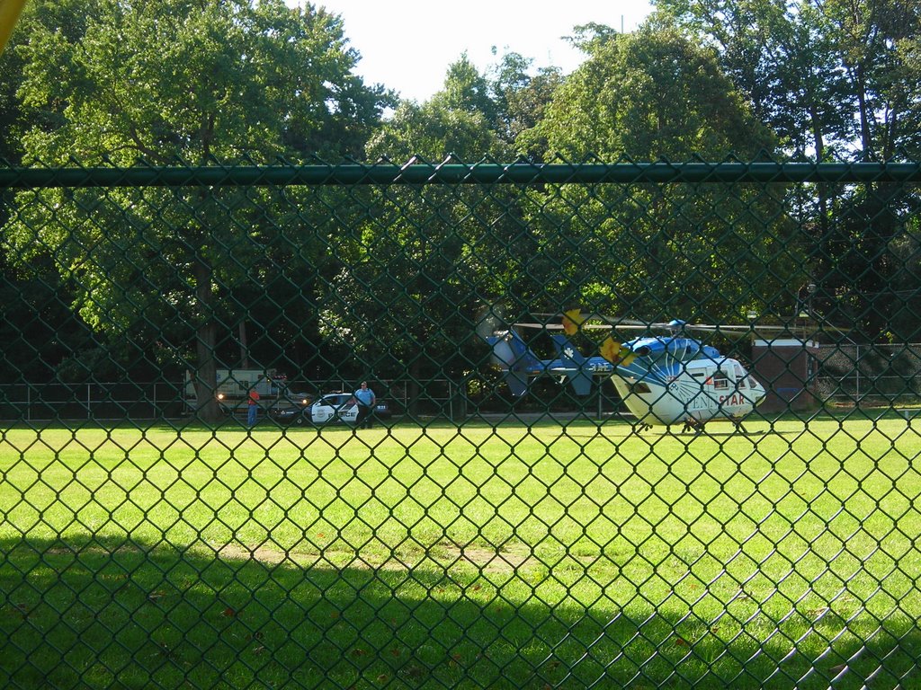 Penn Star Narberth field