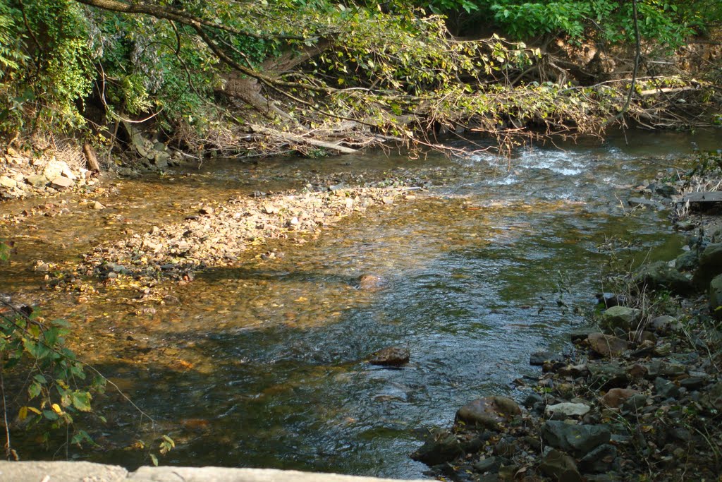 Mill Creek crossing Old Gulph Road