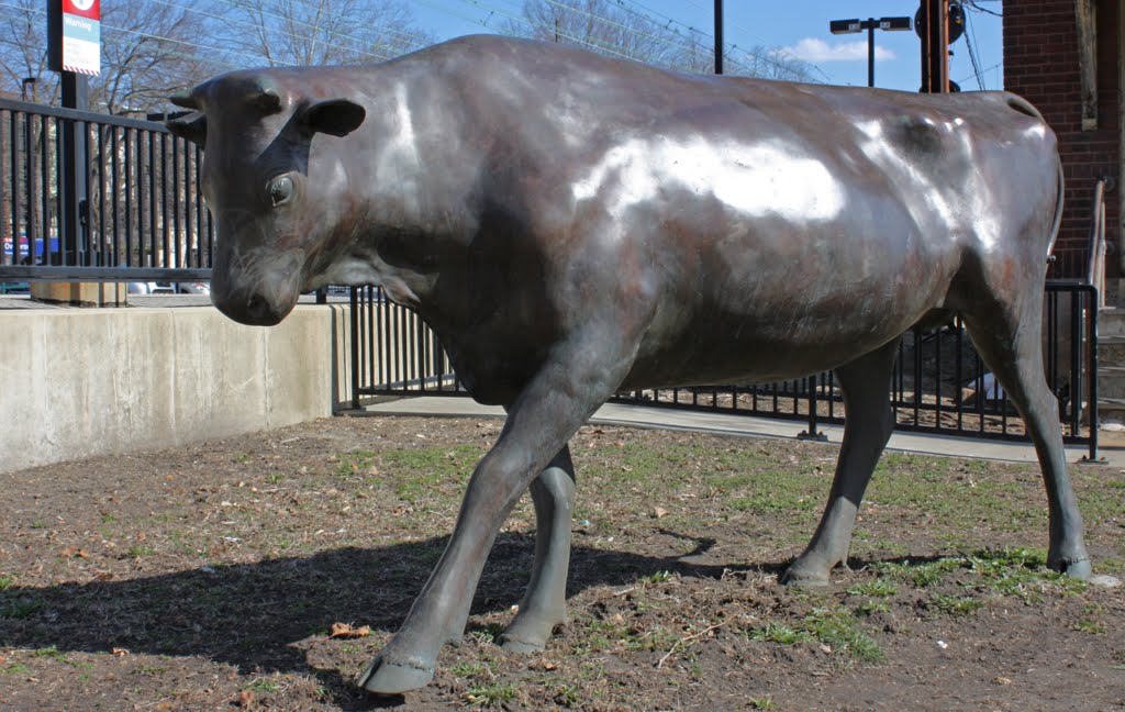 Cow sculpture, Overbrook SEPTA station, Philadelphia, PA