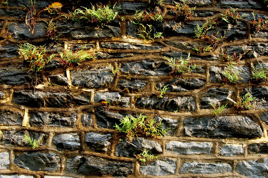Stone Wall