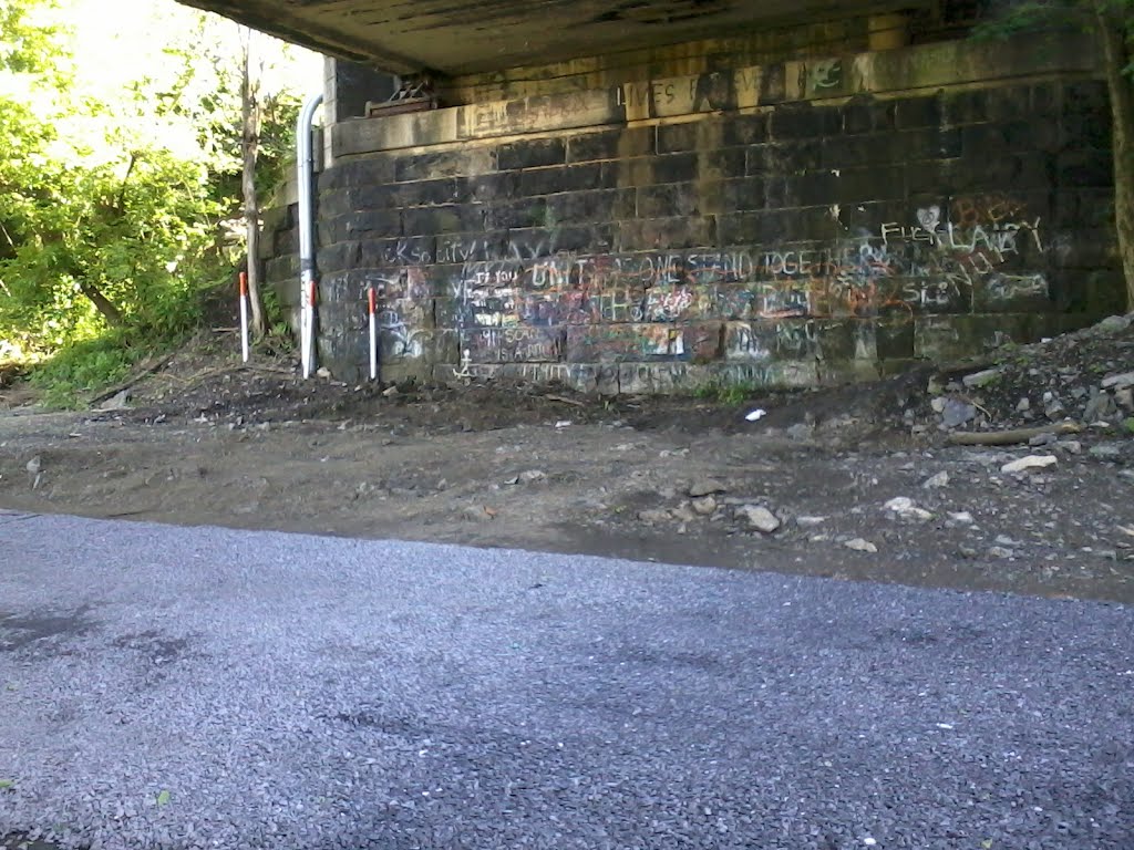 Under Lemoye Train Bridge 1