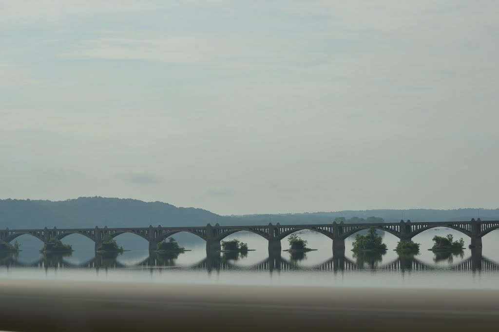 Bridge View in a Zoom!!!