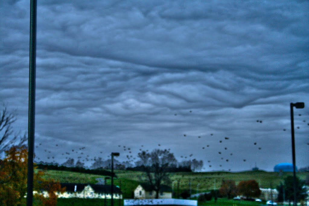 Check out the sky over head