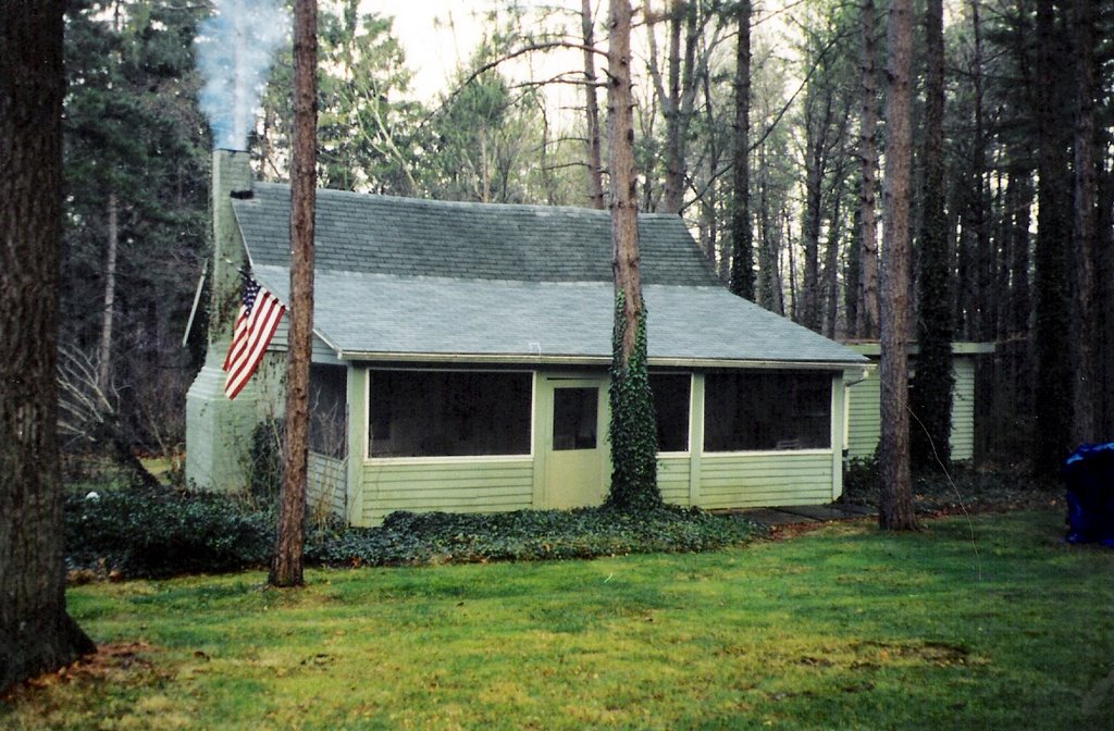 The Pines