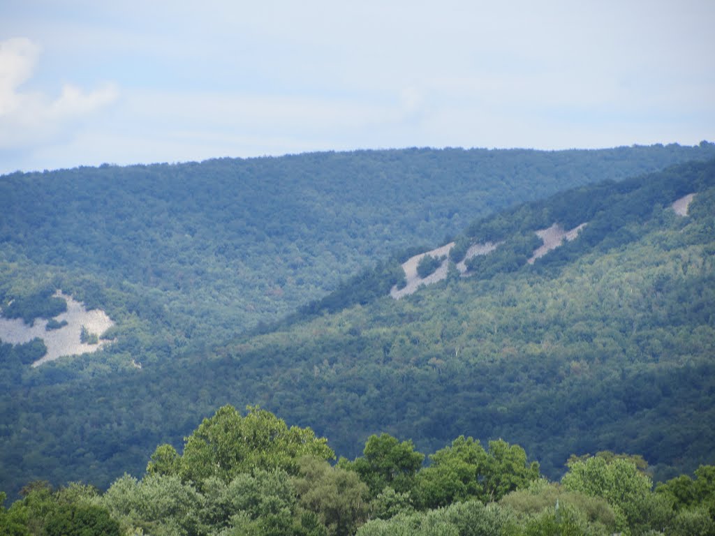 Allegheny Mountains