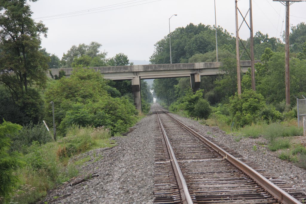 Tracks