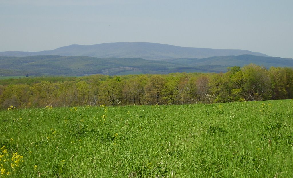 Blue Knob mountain from Chestnut Ridge