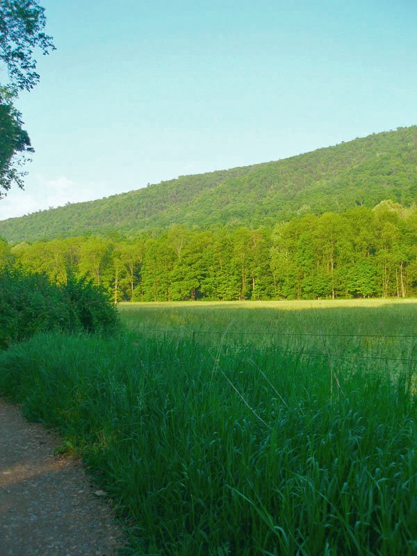 view of kinton knob