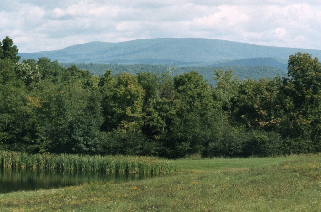 Blue Knob Mountain