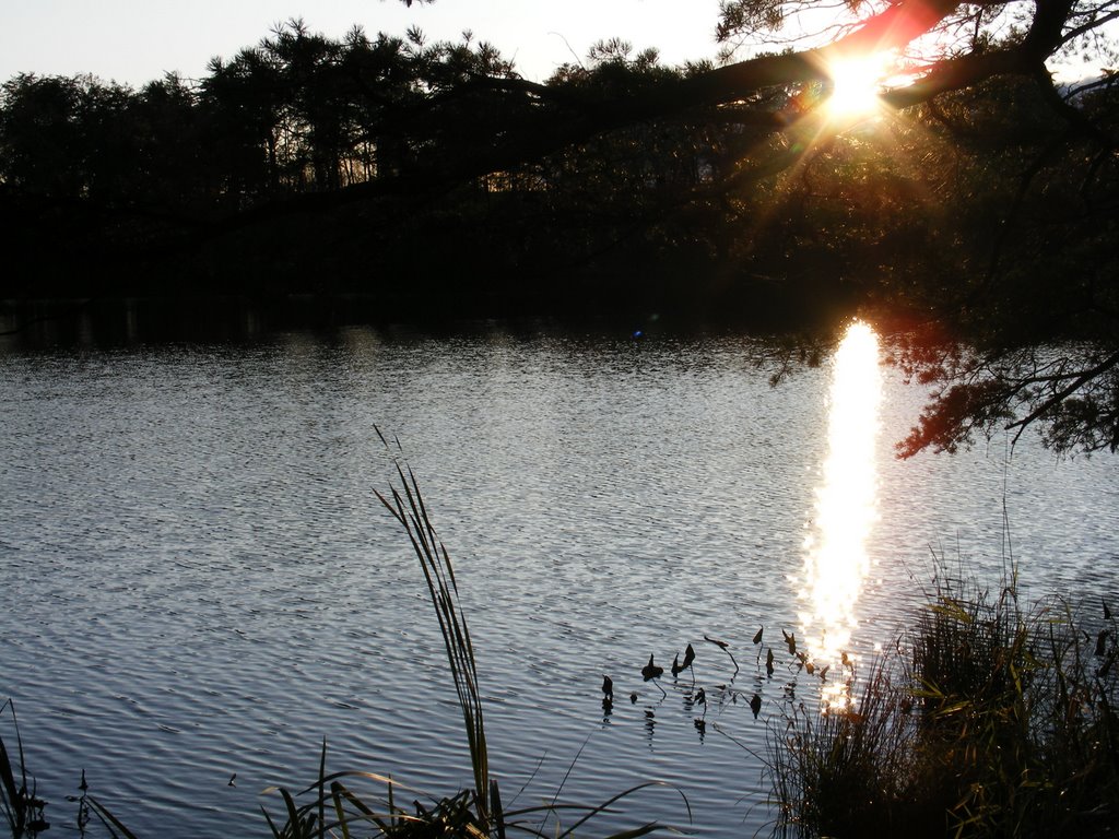 sunset on lake Shawnee
