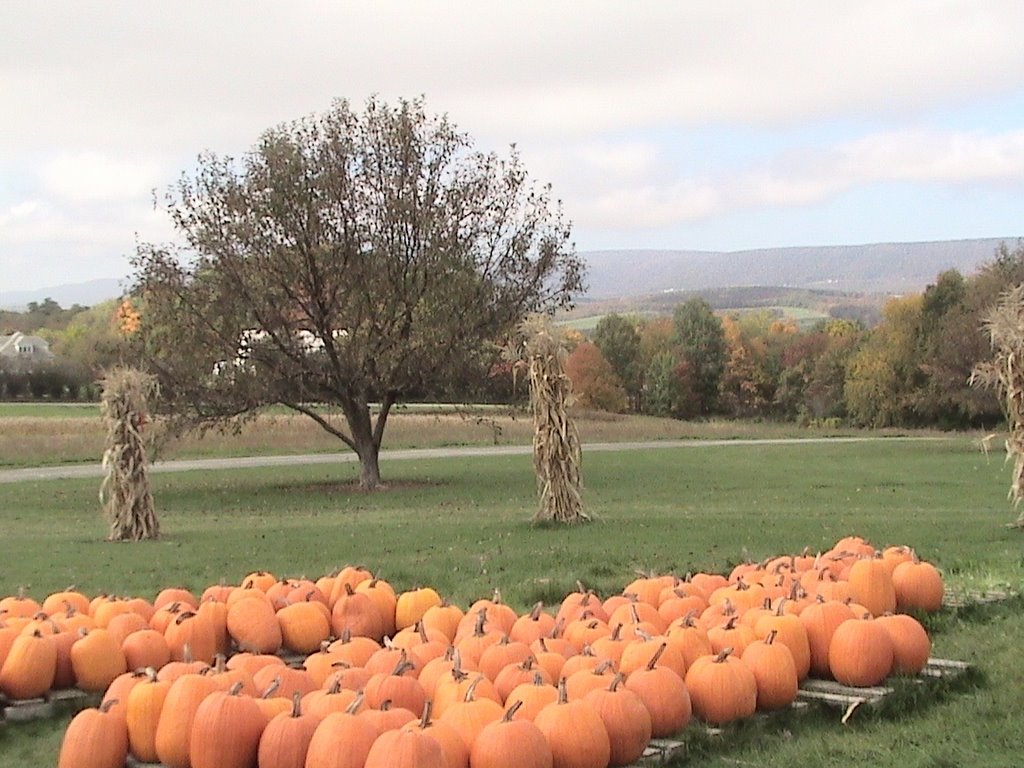 Bedford County harvest