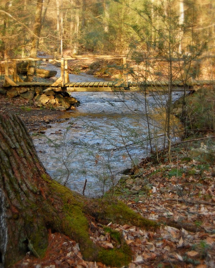 White Sulphur Springs