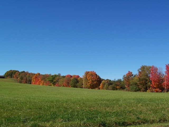 Fall Scene on Tulls Hill, Near Bedford, PA 9/07