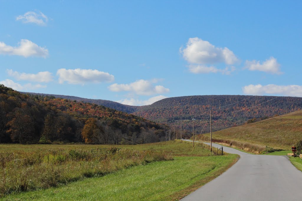 Miller rd