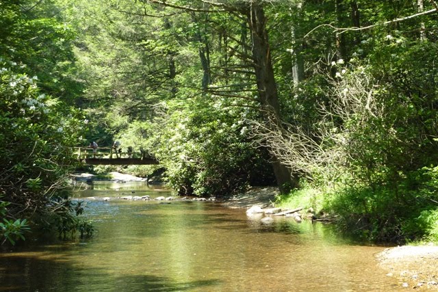 Bridge before Wild Creek Falls