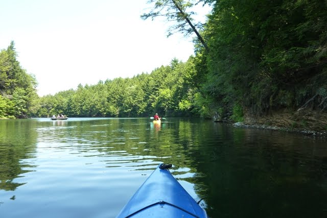 Wild Creek