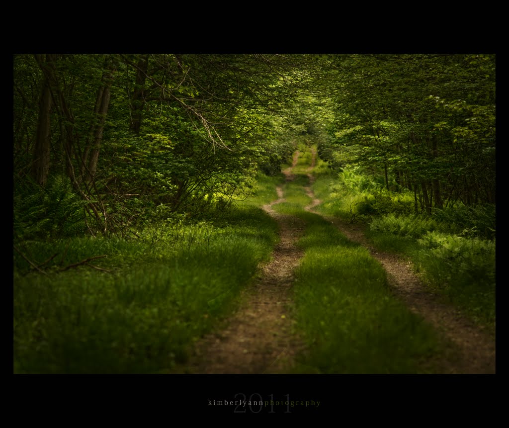 GRAVEL| road