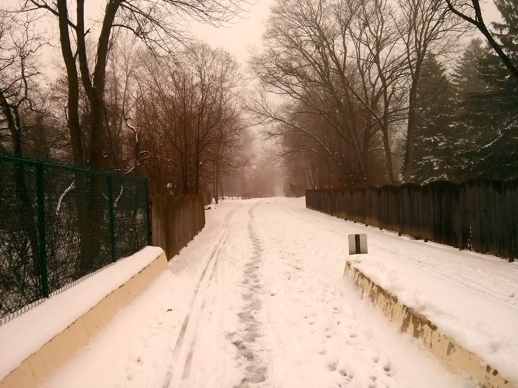 Radnor Trail