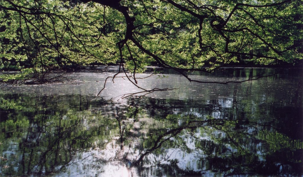Upper Lake Eastern University