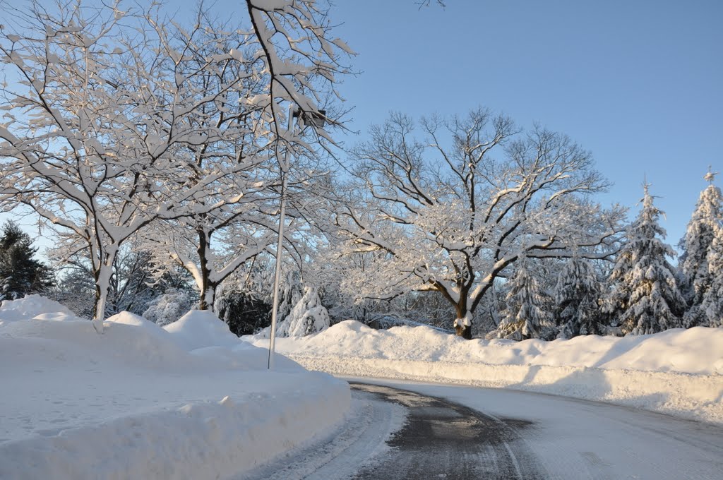 2010 winter scene in Saint Davids, PA