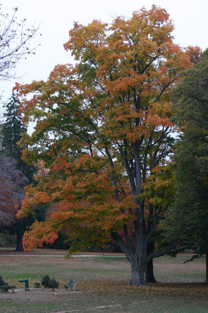 Harford Park