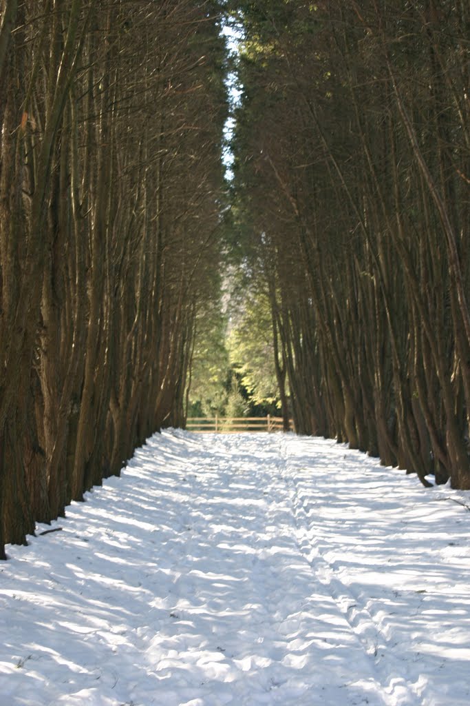 Harford Park