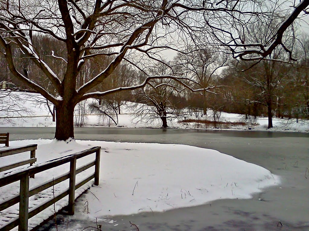 Willows Park