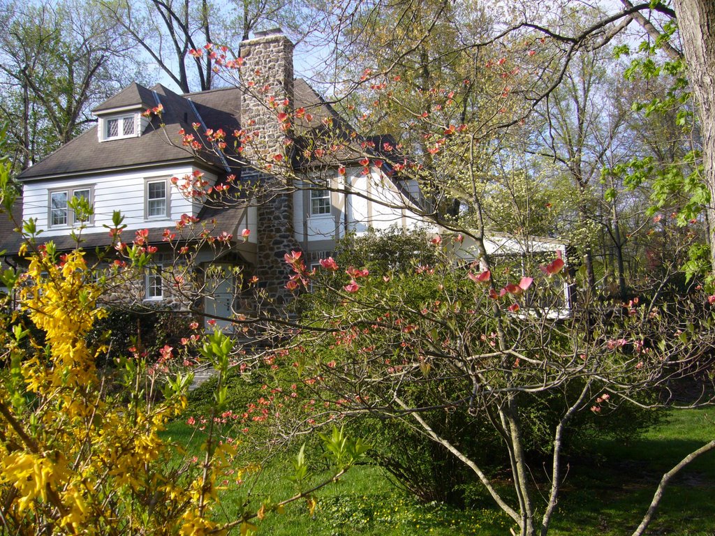 Springtime 2007 at 4 Forest Road