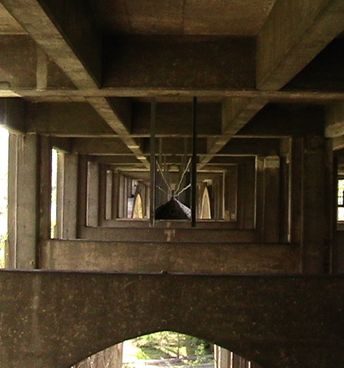 Under The Bridge