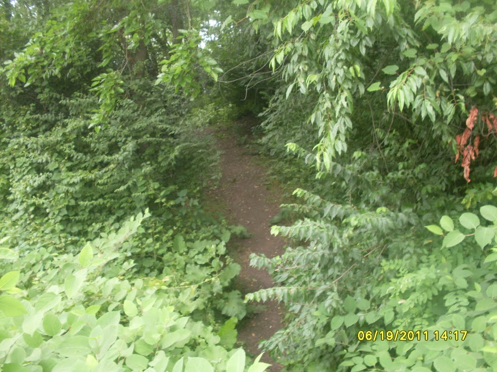Memorial Park Back Trail