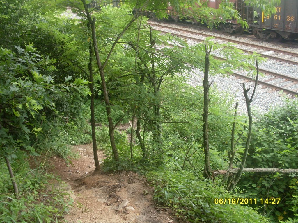 Memorial Park Trail End