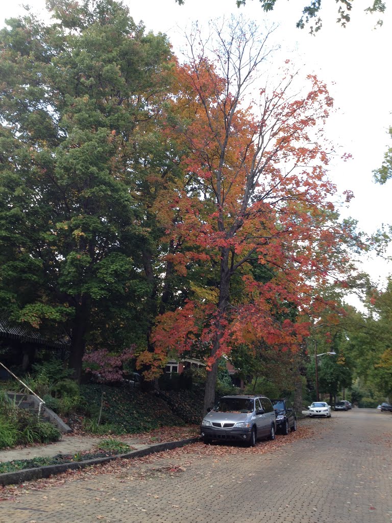 fall5