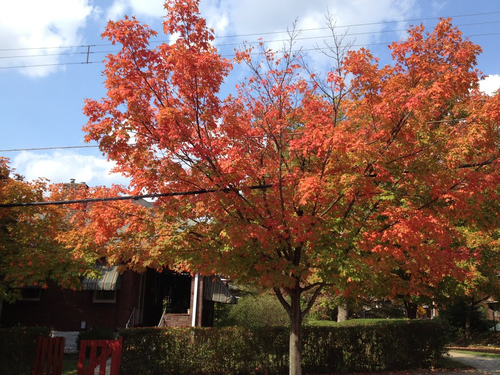 fall9