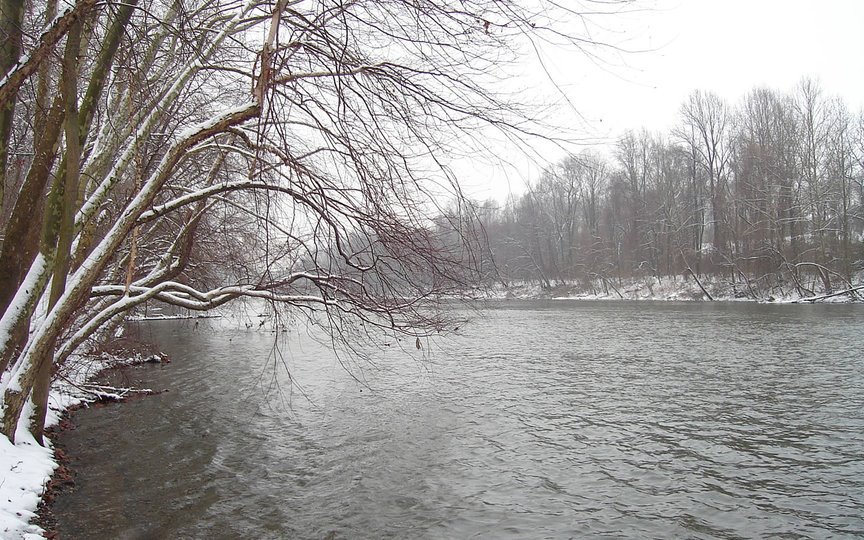 TEST pic