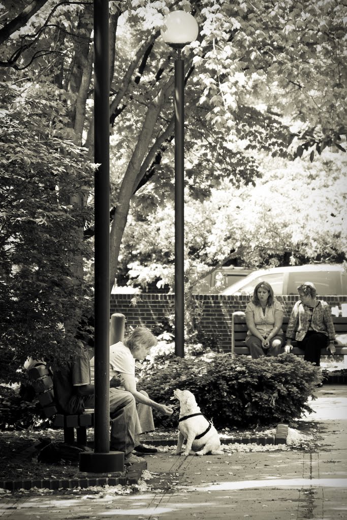 Downtown Park