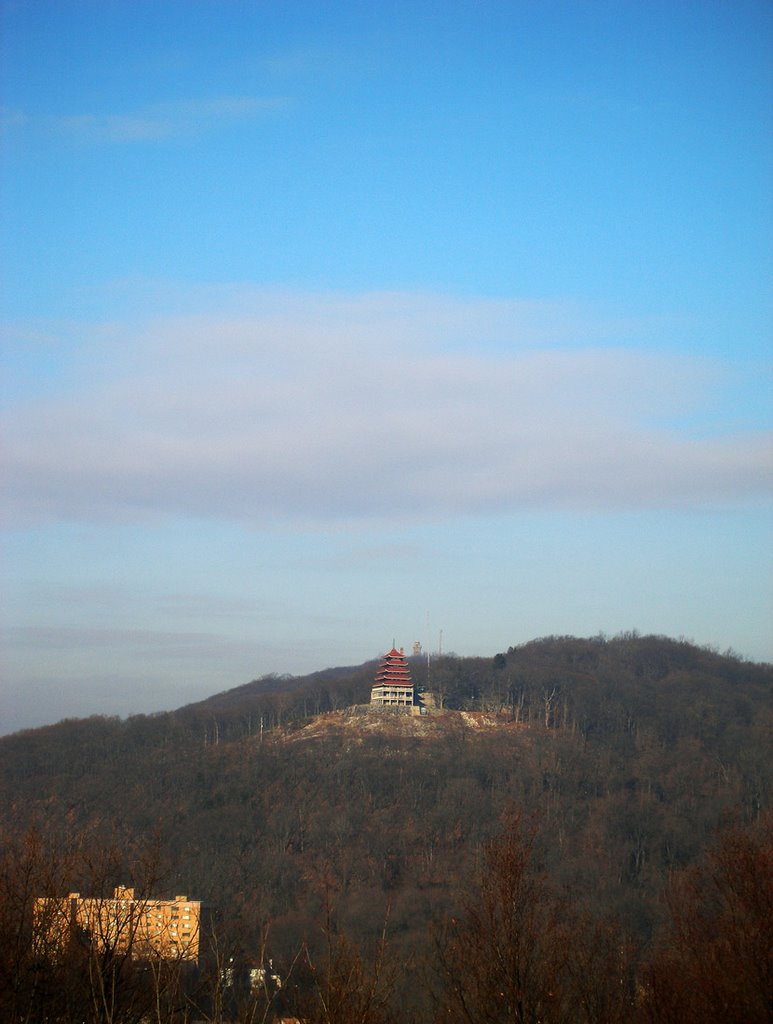 Reading Pagoda in the Winter