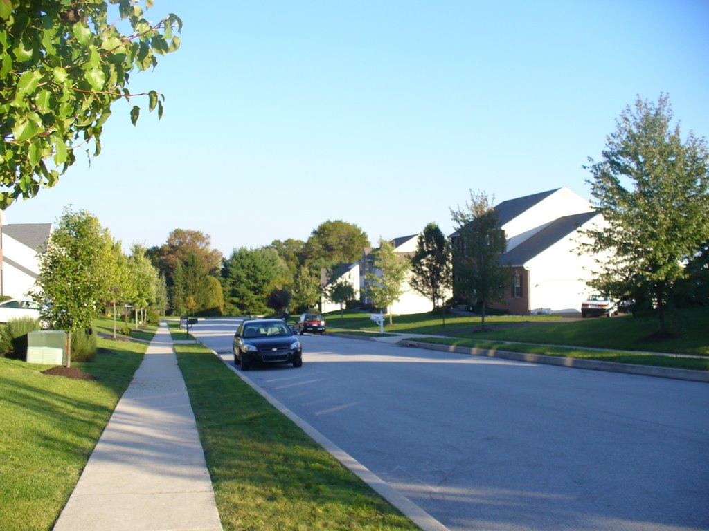 Pine Tree Dr